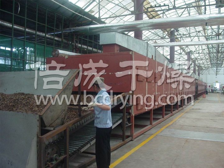 DWC係（xì）列脫（tuō）水蔬菜帶式幹（gàn）燥機